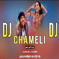 Chameli Hai Hai 2-Sambalpuri Dj Mix- Dj Ashish